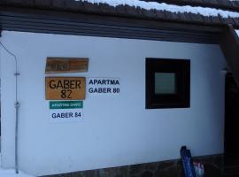 Apartma Gaber 80，位于兹雷切的酒店
