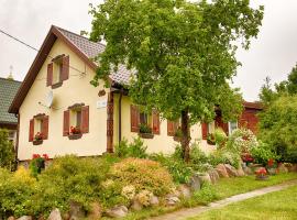 Aleksandrówka - Domek Aleksander，位于Trześcianka的酒店