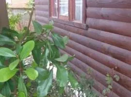 Cabañas Patricia Licanray