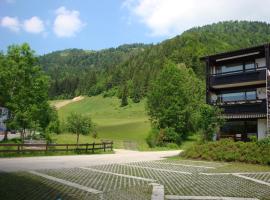 Oostenrijk-walchsee-Hasewinkel，位于瓦尔赫湖的滑雪度假村