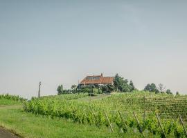 Taverna & Wine Jeruzalem，位于Ivanjkovci的民宿