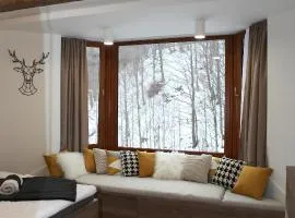 Apartmán 16 Romantika Chopok Juh Tále