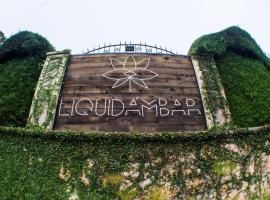 Liquidambar Hotel，位于Sarabanda的酒店