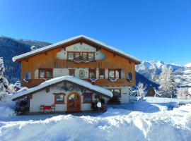 Hotel Garni la Stua，位于塞尔瓦迪卡多雷的酒店