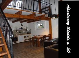 Apartmány Stodola n.30，位于Stříbřec的酒店