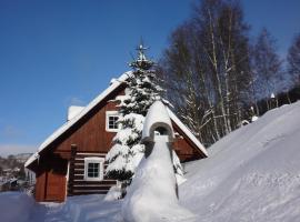 Apartmán Na Zlatníku，位于Zlatá OlešniceSurfanic 2附近的酒店