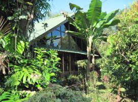 Chalet Villa Vilma，位于San Mateo的酒店