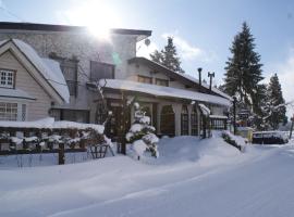 白金山林小屋，位于小谷村的酒店