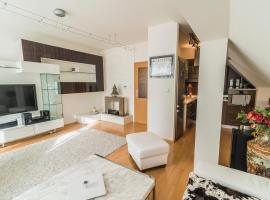 Horský apartmán Špindlerův Mlýn，位于Krausovy Boudy的酒店