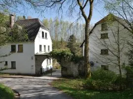 Grünlasmühle