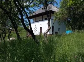 Cottage Poe