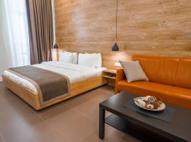 Luxury Apartments on Central Avenue，位于第比利斯Queen Tamar Bridge附近的酒店