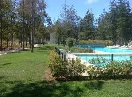 Algarrobo Bosques de la Candelaria