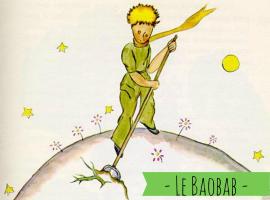 Le Baobab，位于埃尔卡拉法特的酒店