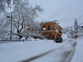 Aetia-Tsiourgiaka，位于Aetia的酒店