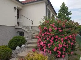 Very nice cosy new appart