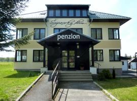 Penzion Švýcarský dům，位于Sněžnik的旅馆