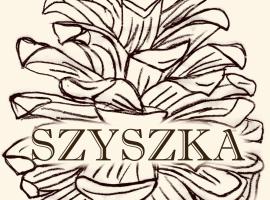 Szyszka，位于布科维纳-塔钱斯卡的酒店