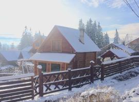 Mini Cottage，位于亚布卢尼齐亚的酒店