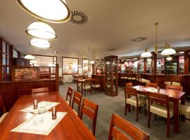 Hotel Svratka，位于Betlem的酒店