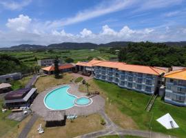 珊瑚棕榈旅馆，位于奄美的酒店