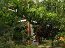 Dacha u Morya Bugaz