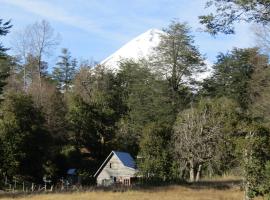 Refugio Montaña Ruta Conguillio, Habitación con baño y cocina privada，位于库拉考廷的酒店