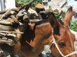 戴尔阿提斯塔住宿加早餐旅馆