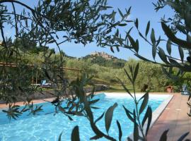 Agriturismo Il Monte - Piscina tra gli Ulivi, Maneggio con Cavalli e WIFI，位于蒙特圣玛丽亚－蒂贝里纳的乡间豪华旅馆