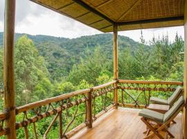 Ichumbi Gorilla Lodge，位于Kisoro的酒店