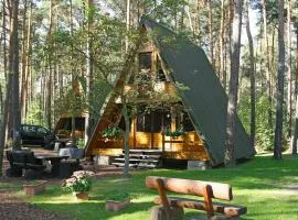 Chalet Nepumuk-1 by Interhome