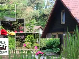 Vakantiepark Zevenbergen