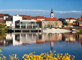 Seenario - Art & Health Hotel am See，位于蒂申罗伊特的酒店