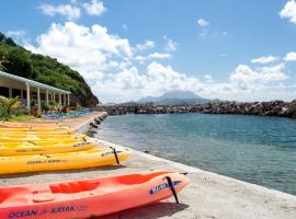 Bird Rock Beach Hotel，位于巴斯特尔的酒店