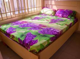 Castle City Resort & Suites Annex，位于拉各斯的酒店