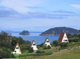 Pohutukawa Coastal Chalets，位于科罗曼德镇的酒店