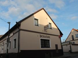 Penzion U Růže，位于Sezimovo Ústí的酒店