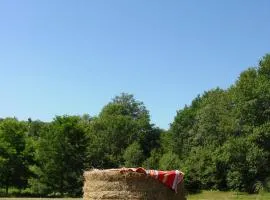 Camping la Jaurie hébergements