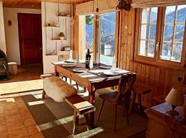 Magnifique chalet pour 10 personnes à Vercorin，位于韦尔科兰的酒店