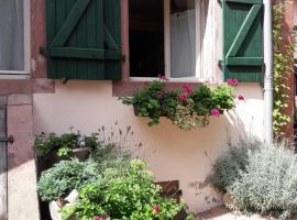 charmant petit appartement en Alsace，位于Bouxwiller的公寓