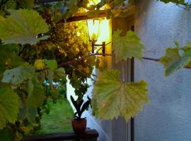 Haus am Pool，位于Knautkleeberg的酒店