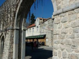 Apartman -stan u centru，位于特雷比涅的酒店