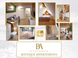 Seehof Boutique Appartements，位于比苏姆的酒店