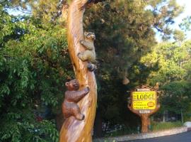 Giant Oaks Lodge，位于Running Springs的酒店