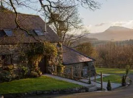 Cyffdy Cottage - Tegid