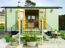 Storws Y Gorlan Shepherd's Hut，位于瓦利的住宿加早餐旅馆