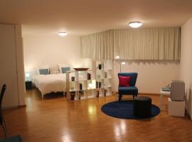 A Casa Fina- a modern room close to Basel，位于Therwil的住宿加早餐旅馆