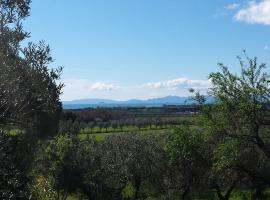 Agriturismo Tenuta di Vignale，位于Vignale的酒店