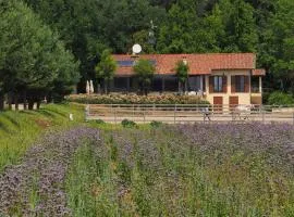 Agriturismo Cascina del Poggio