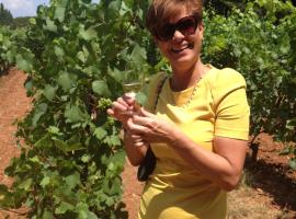 Skagen，位于耶卢的酒店